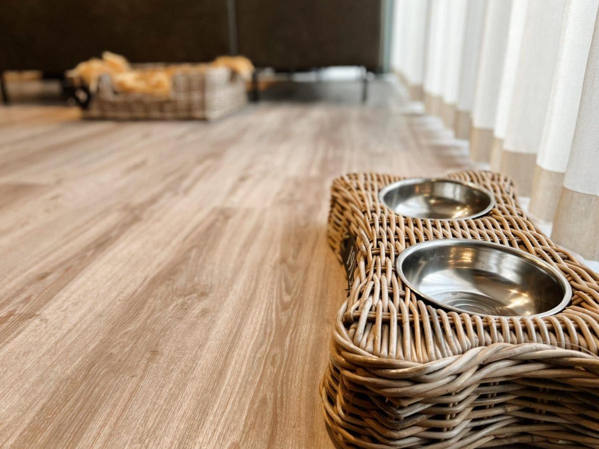 New! Fantastic Appartments - Duno Lodges 4 Persons And Dogs 东卡佩勒 外观 照片